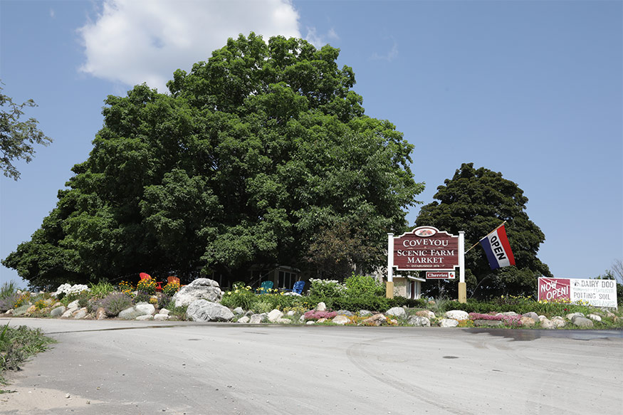 coveyou scenic farm market front Atlanta-Area Builder's Home