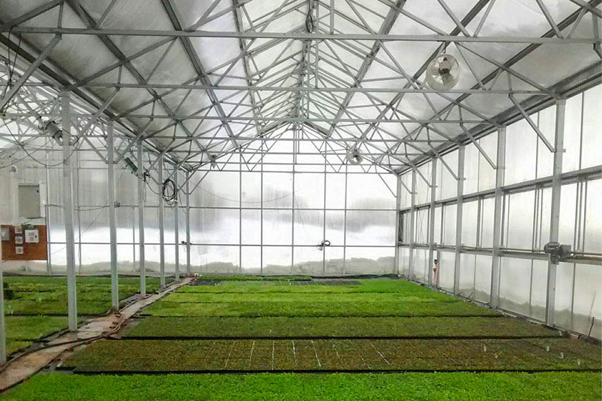 Coveyou Scenic Farm Market 3 coveyou scenic farm market greenhouse long view Coveyou Scenic Farm Market